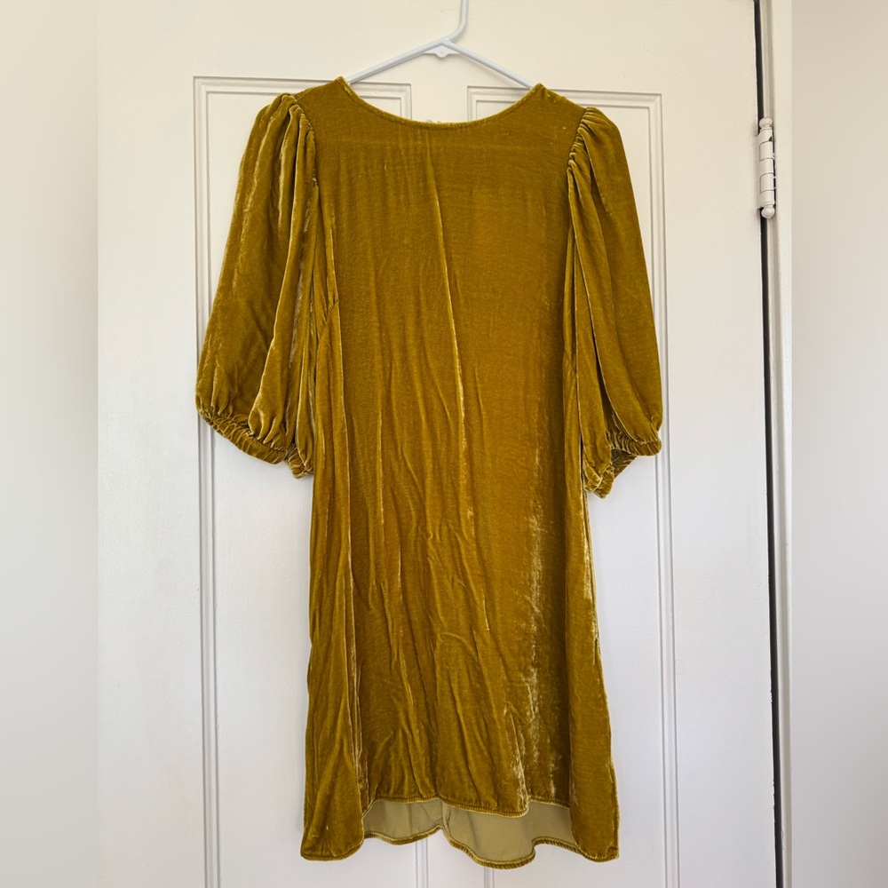 Beautiful Velvet dress